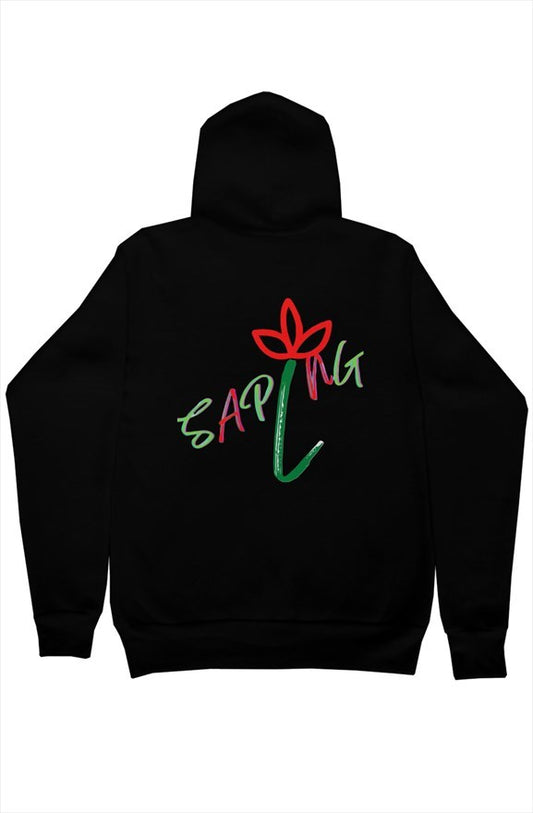 bella canvas pullover hoody Maryland Liner SAPLNG 